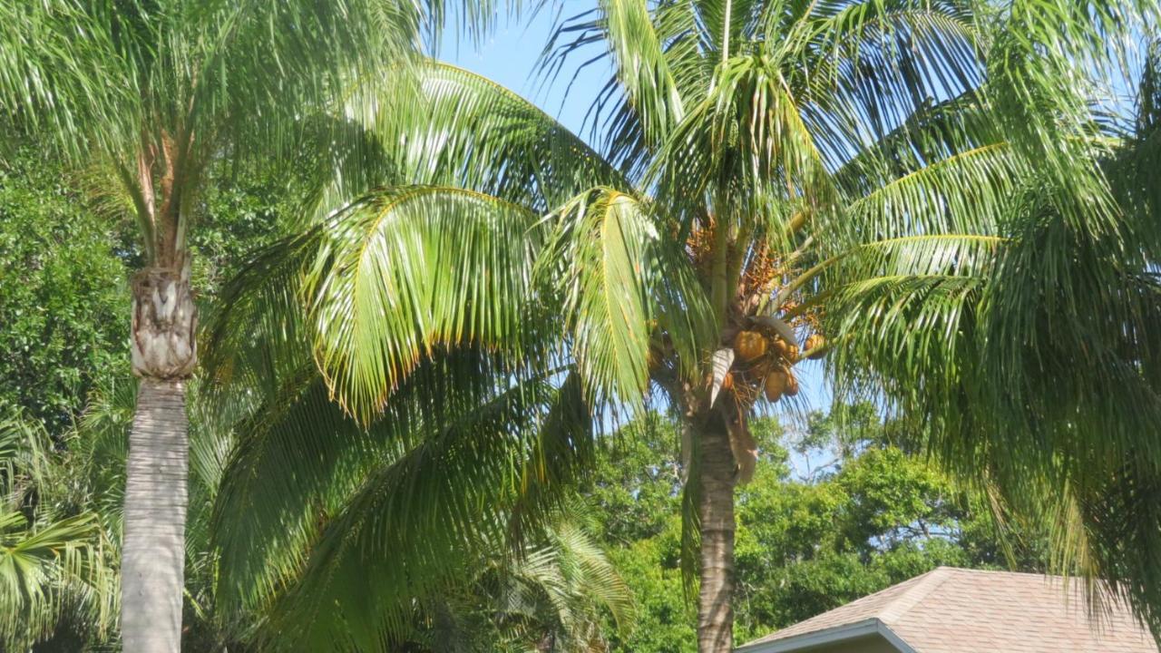Luxury 3-Bedroom Home Near Beaches With Pool Vero Beach Zewnętrze zdjęcie